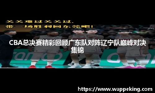 CBA总决赛精彩回顾广东队对阵辽宁队巅峰对决集锦